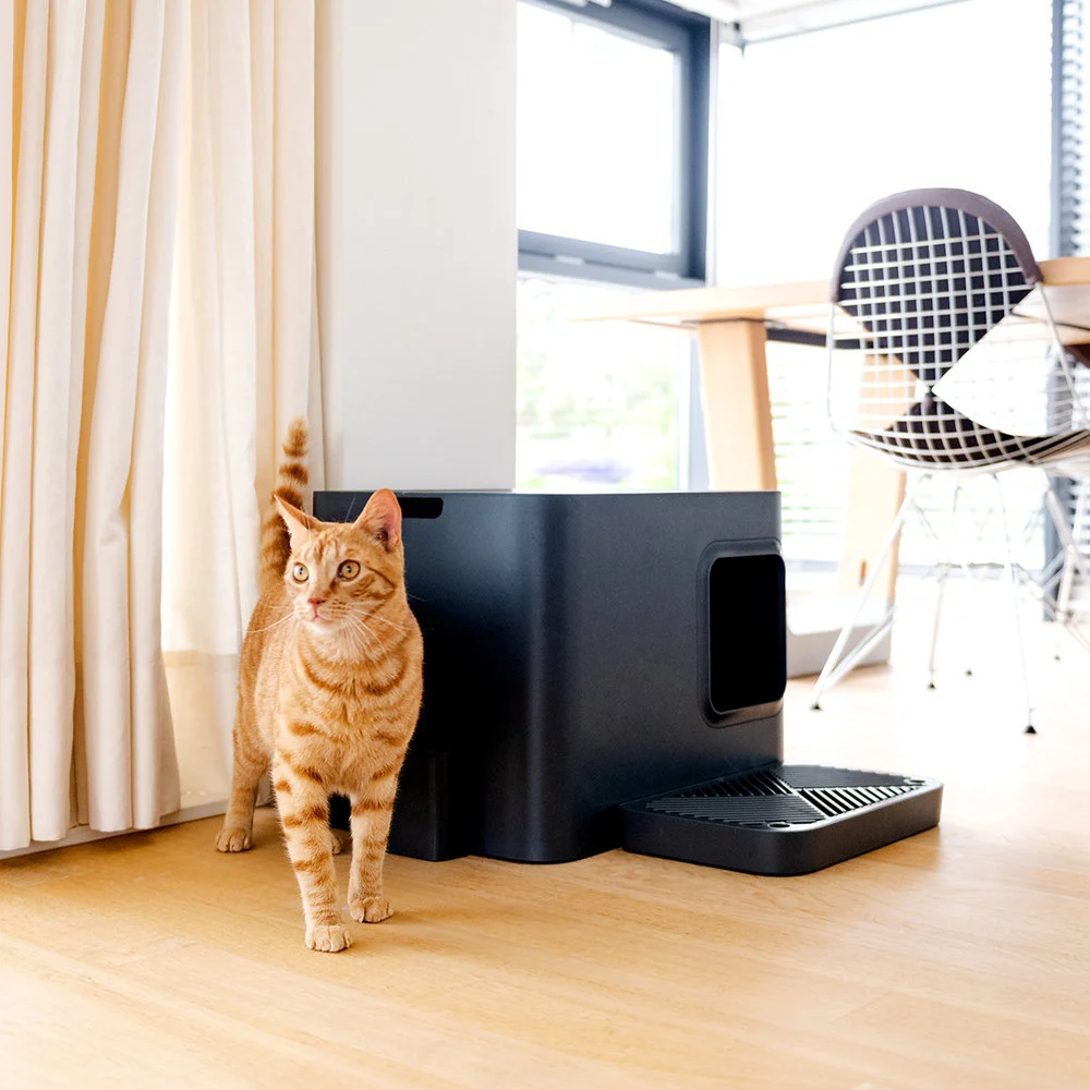 image-2.webp