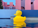 lampe-canard-xl-jaune-06.webp.webp