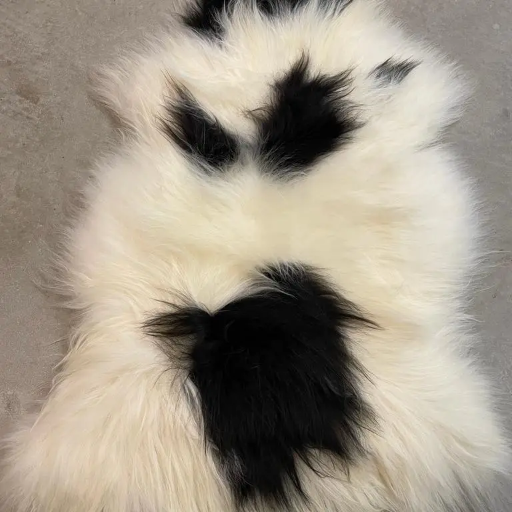 Peau de mouton Islande, Style 
